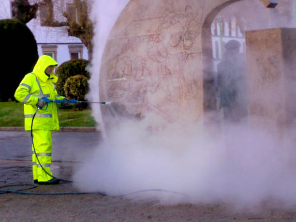 Best Roof Pressure Washing  in White House Station, NJ
